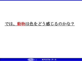 では、動物は色をどう感じるのかな？
 