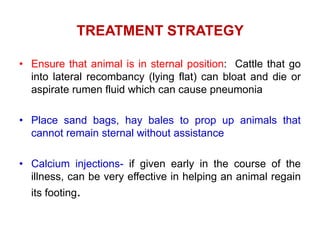 Rumen Injection Bovine Ephemeral Fever (Three Day Sickness) | PPTX