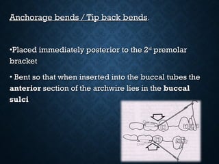 Anchorage bends / Tip back bendsAnchorage bends / Tip back bends..
•Placed immediately posterior to the 2Placed immediately posterior to the 2ndnd
premolarpremolar
bracketbracket
• Bent so that when inserted into the buccal tubes theBent so that when inserted into the buccal tubes the
anterioranterior section of the archwire lies in thesection of the archwire lies in the buccalbuccal
sulcisulci
 