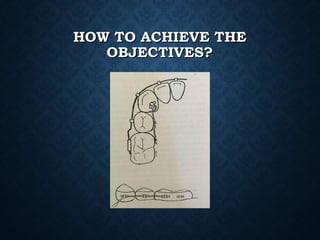 HOW TO ACHIEVE THEHOW TO ACHIEVE THE
OBJECTIVES?OBJECTIVES?
 