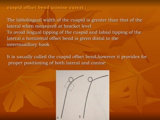 cuspid offset bend (canine curve) : The labiolingual width of the cuspid is greater than that of the  lateral when measured at bracket level To avoid lingual tipping of the cuspid and labial tipping of the  lateral a horizontal offset bend is given distal to the  intermaxillary hook It is usually called the cuspid offset bend,however it provides for proper positioning of both lateral and canine 