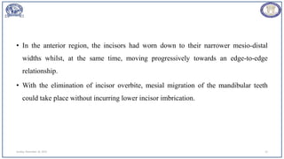 • In the anterior region, the incisors had worn down to their narrower mesio-distal
widths whilst, at the same time, moving progressively towards an edge-to-edge
relationship.
• With the elimination of incisor overbite, mesial migration of the mandibular teeth
could take place without incurring lower incisor imbrication.
Sunday, November 26, 2023 13
 
