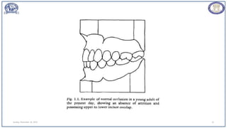 Sunday, November 26, 2023 15
 