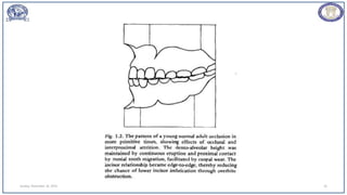 Sunday, November 26, 2023 16
 