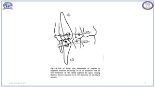 Sunday, November 26, 2023 67
 