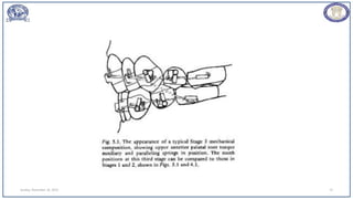 Sunday, November 26, 2023 74
 