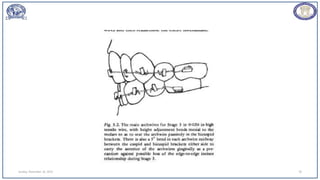 Sunday, November 26, 2023 78
 