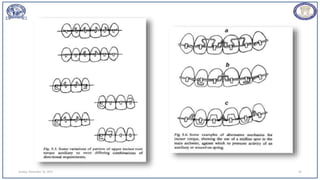 Sunday, November 26, 2023 92
 