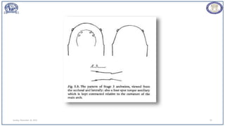 Sunday, November 26, 2023 97
 