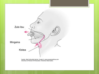 Kistea
Mingaina
Zulo itsu
 