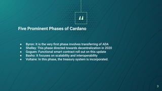 Begineers guide to cardano | PDF
