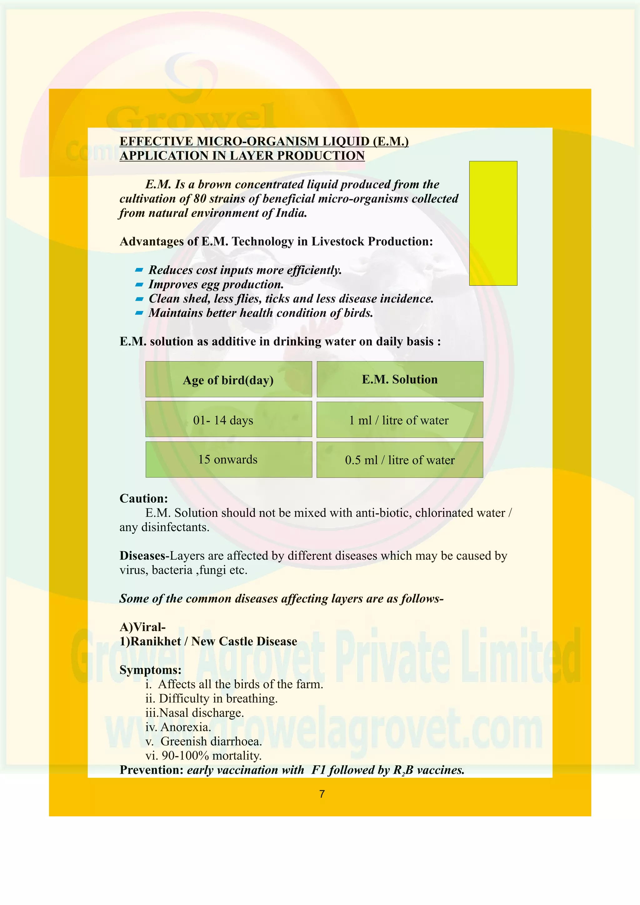 Beginners Guide to Layer Poultry Farming | PDF