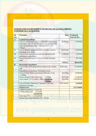 Beginners Guide to Layer Poultry Farming