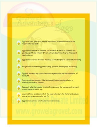 Beginners Guide to Layer Poultry Farming