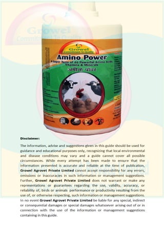 Beginners Guide to Layer Poultry Farming