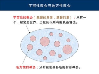 宇宙性的教会 ( 基督的身体，基督的妻 ) ：只有一
个，包含全世界、历世历代所有的真基督徒。
地方性的教会：分布在世界各地的有形教会。
宇宙性教会与地方性教会
 