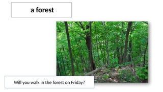 a forest
Will you walk in the forest on Friday?
 