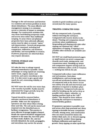 Beginner Guide to Desert Restoration