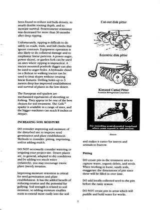 Beginner Guide to Desert Restoration