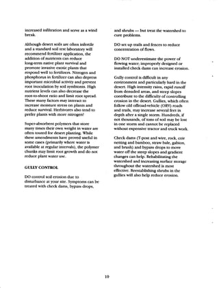 Beginner Guide to Desert Restoration