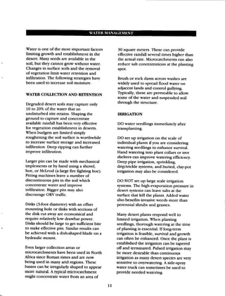 Beginner Guide to Desert Restoration