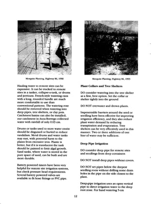 Beginner Guide to Desert Restoration