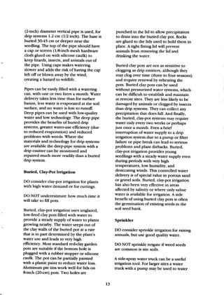 Beginner Guide to Desert Restoration