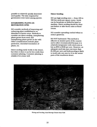 Beginner Guide to Desert Restoration