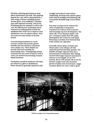 Beginner Guide to Desert Restoration