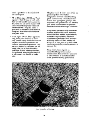 Beginner Guide to Desert Restoration