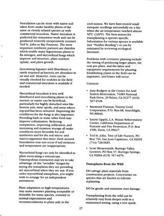 Beginner Guide to Desert Restoration