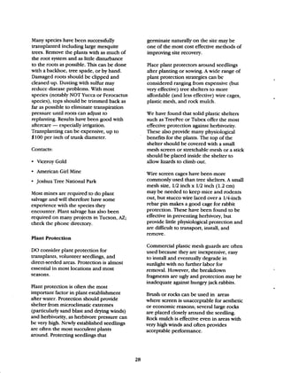 Beginner Guide to Desert Restoration