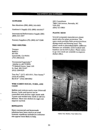 Beginner Guide to Desert Restoration