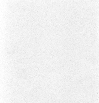 Beginner Guide to Desert Restoration