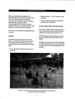 Beginner Guide to Desert Restoration