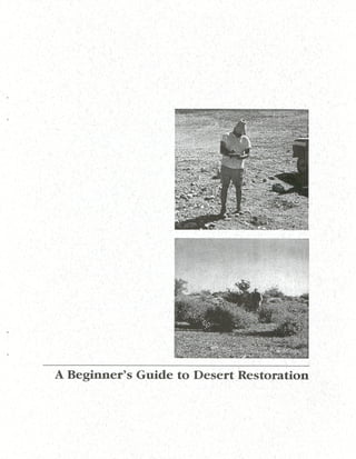 Beginner Guide to Desert Restoration