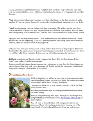 Beginner rose gardening | PDF