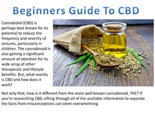 Cannabidiol (CBD) is
perhaps best known for its
potential to reduce the
frequency and severity of
seizures, particularly in
children. The cannabinoid is
also gaining a significant
amount of attention for its
wide array of other
therapeutic and lifestyle
benefits. But, what exactly
is CBD and how does it
work?
Not only that, how is it different from the more well-known cannabinoid, THC? If
you’re researching CBD, sifting through all of the available information to separate
the facts from misconceptions can seem overwhelming.
 
