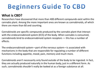 What is CBD?
Researchers have discovered that more than 400 different compounds exist within the
cannabis plant. Among the...