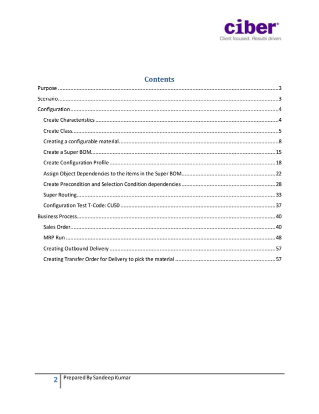 Variant Configuration in SAP PP: Beginner's Guide | DOCX