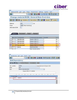 Variant Configuration in SAP PP: Beginner's Guide | DOCX
