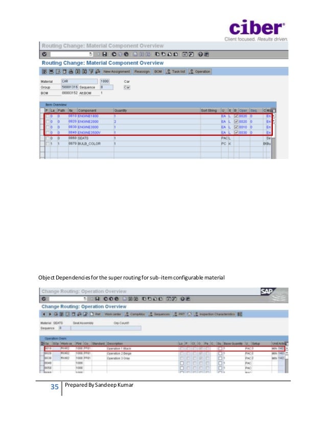 Variant Configuration in SAP PP Beginner's Guide