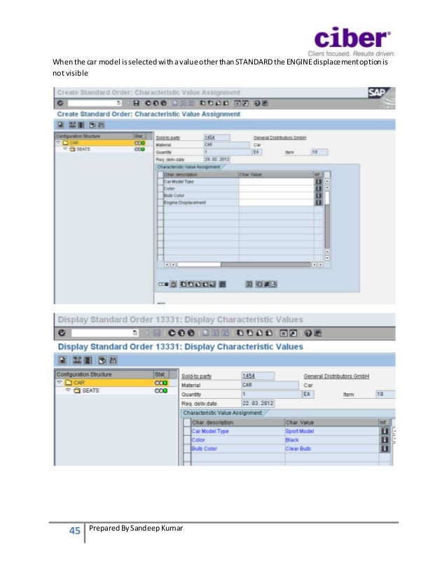 Variant Configuration in SAP PP Beginner's Guide