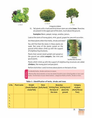 Beginners science-6 CLASS - SIX | PDF
