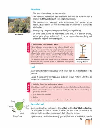 Beginners science-6 CLASS - SIX | PDF