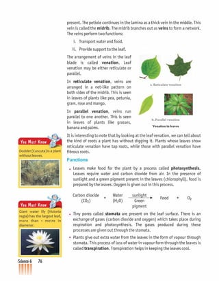 Beginners science-6 CLASS - SIX | PDF