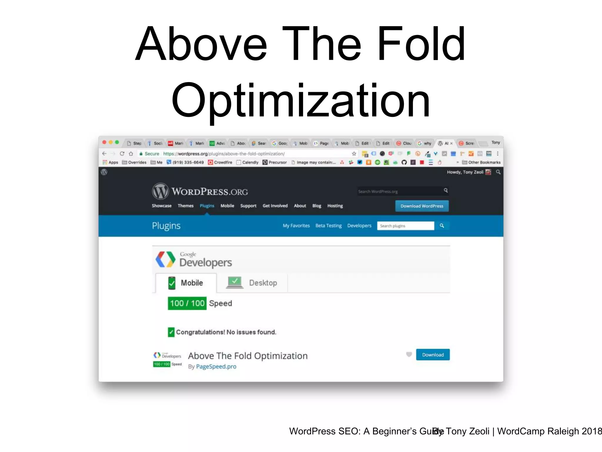 WordPress SEO: A Beginner’s GuideBy Tony Zeoli | WordCamp Raleigh 2018
Above The Fold
Optimization
 