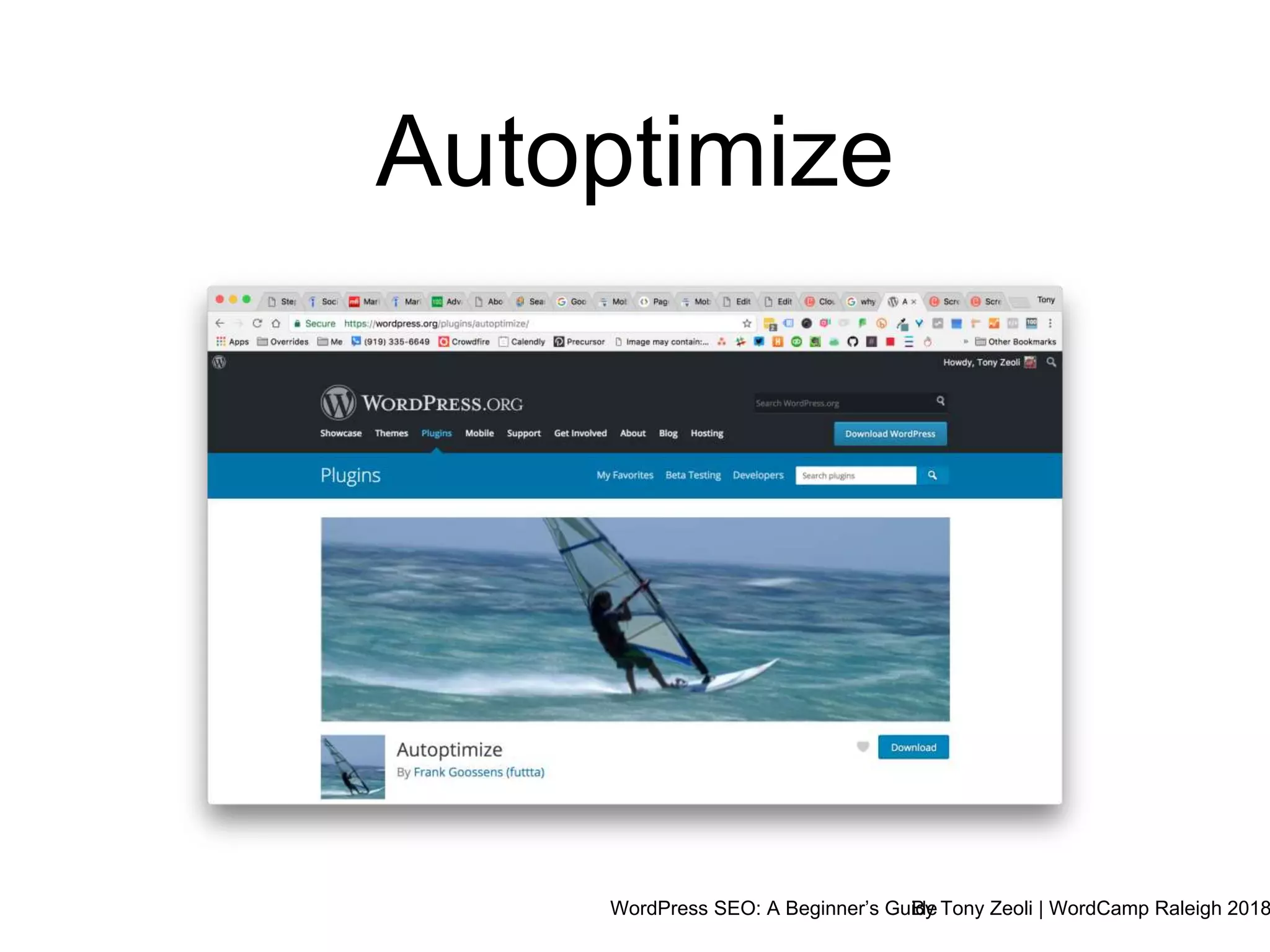 WordPress SEO: A Beginner’s GuideBy Tony Zeoli | WordCamp Raleigh 2018
Autoptimize
 