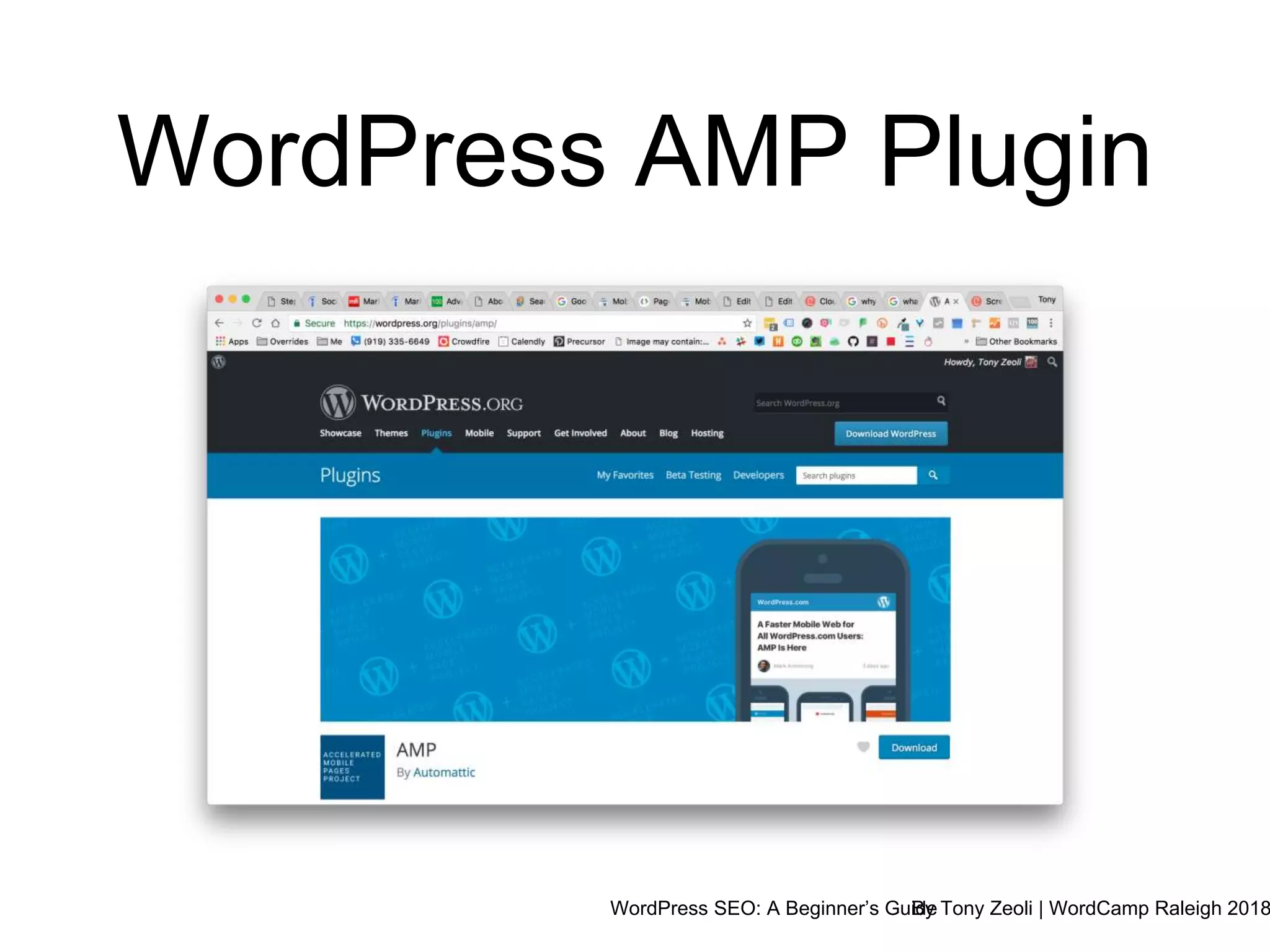 WordPress SEO: A Beginner’s GuideBy Tony Zeoli | WordCamp Raleigh 2018
WordPress AMP Plugin
 