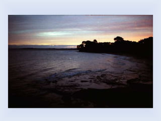 Beginners guide to mise en scene